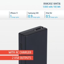 VA4736 EN rechargeable battery with built-in wall charger